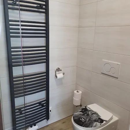 Brunnmeisterhof شقة سالزبورغ